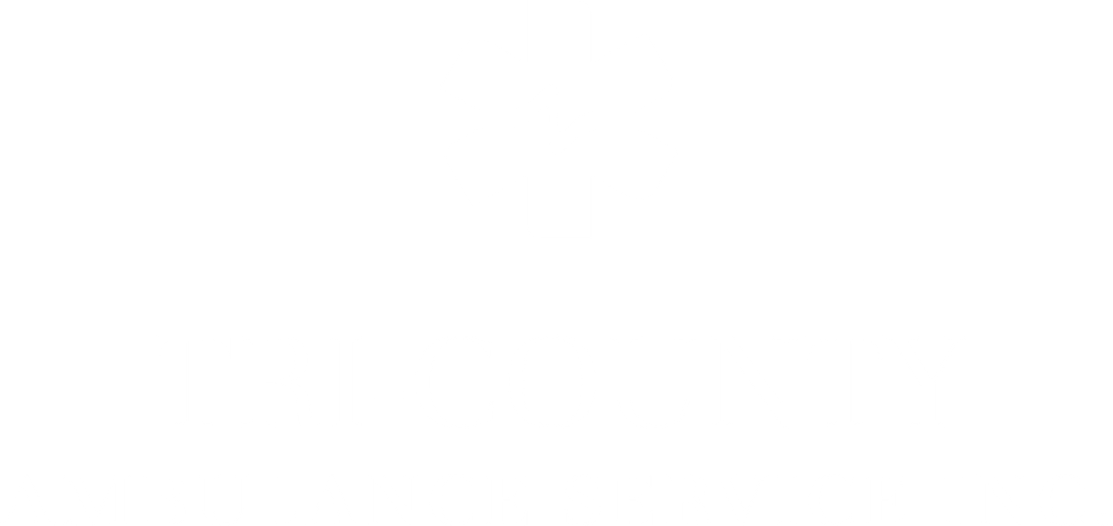 Tri-County Ambulance Service Logo